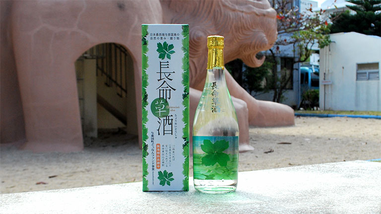 長命草酒（長命草焼酎）