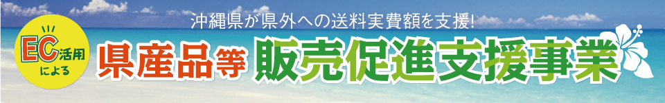 県産品等 販売促進支援事業 沖縄県が県外への送料実費額を支援!